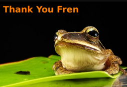 thumbnail of Thank You Fren.png