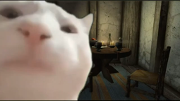 thumbnail of When the Khajiit came to the tavern.mp4