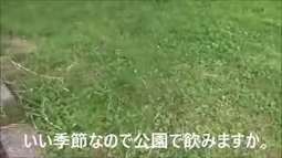 thumbnail of 【コメ付き】いつもの公園でアル中カラカラしてみた.webm