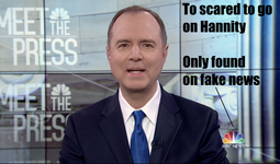 thumbnail of Schiff fake news.png