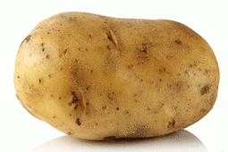 thumbnail of potato3.jpg