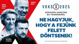 thumbnail of voks-2025.jpg