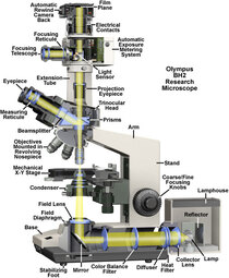 thumbnail of bh2cutaway.jpg