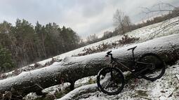 thumbnail of IMG_8348.jpg