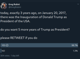 thumbnail of rubini-poll.png