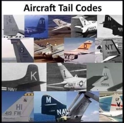 thumbnail of epstein-aircraft-tailcodes-x1.jpg