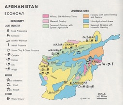 thumbnail of afghan-economy.jpeg