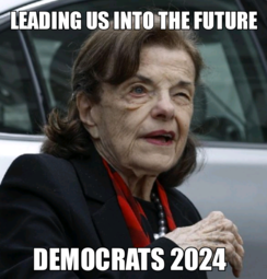 thumbnail of Democrats 2024.png