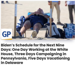 thumbnail of Biden_day at beach___.PNG