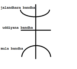 thumbnail of mula bandha.png