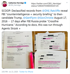 thumbnail of herridge twt 07232020_1 Ratcliffe reveal fbi countintelligence aug 17 2016 17 days after FBI Russia probe.png