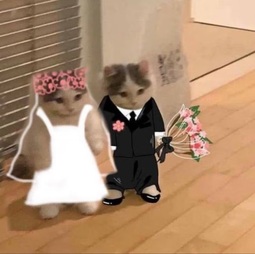 thumbnail of kot wedding.jpeg