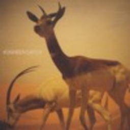 thumbnail of Kosheen - Catch (Ferry Corsten Vocal Remix) - Ferry Corsten.mp3