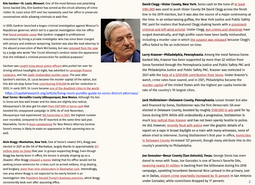 thumbnail of soros district attorneys 06212022_3.png