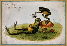 thumbnail of Frog Postcard.jpg