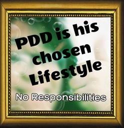 thumbnail of pdd lifestyle no responsibility.jpg