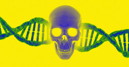 thumbnail of bioweapons-kill-people-specific-dna.jpg