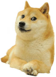 thumbnail of doge.png