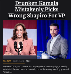 thumbnail of shapiro.png