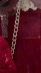 thumbnail of Leia.mp4