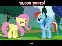 thumbnail of 10004 - rainbow_dash yay fluttershy macro.png