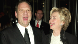 thumbnail of hillary weinstein 2.PNG