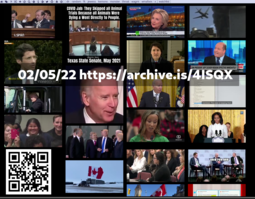 thumbnail of Screenshot 2022-02-05 at 12-36-36 MP4 Archive and Download.png