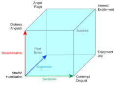 thumbnail of 1537px-Lövheim_cube_of_emotion.svg.png