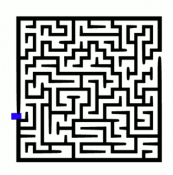 thumbnail of maze_solving.gif