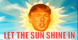 thumbnail of potus let the sunshine in.PNG
