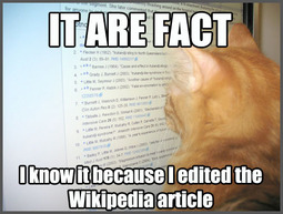 thumbnail of fact-wiki.jpg