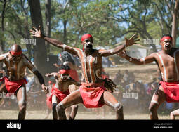 thumbnail of indigenous-dancers-peforming-at-the-laura-aboriginal-dance-festival-C1M6HY-1017571274 (1).jpg