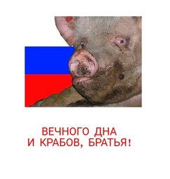 thumbnail of Вечного Дна и Крабов, Братья-endchan-polru-509712.jpg