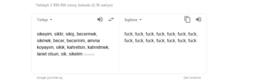 thumbnail of google translate çeviri - Google'da Ara.png