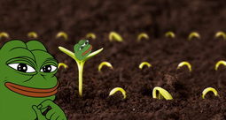 thumbnail of Planting Pepe SEEDs.png
