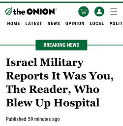 thumbnail of The Onion publishes satirical articles.jpg