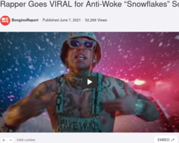 thumbnail of Screenshot 2021-06-08 at 09-49-34 Rapper Goes VIRAL for Anti-Woke “Snowflakes” Song.png
