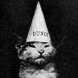 thumbnail of dunce.jpg