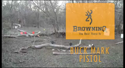 thumbnail of Browning Buck Mark .22 Review and Field Strip.mp4