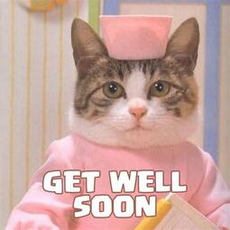 thumbnail of getwellsooncat.jpeg