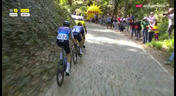 thumbnail of mpv-shot0173.jpg