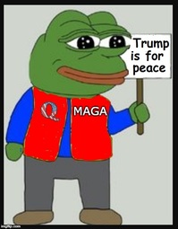thumbnail of orange Q maga Trump is for peace.jpg