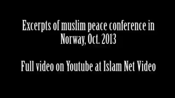 thumbnail of normal_muslims.webm