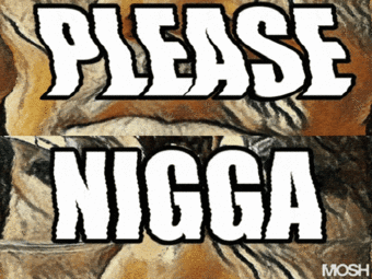 thumbnail of Nigga Please 02.gif