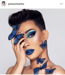 thumbnail of james_charles_butterfly_one_eye.png