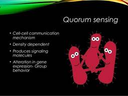 thumbnail of quorum-sensing-an-introduction-5-638.jpg