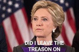 thumbnail of Did I leave the treason on.jpg