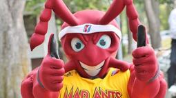 thumbnail of mad ants.jpeg