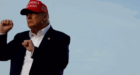thumbnail of trump-trump-dance.gif
