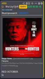 thumbnail of qpost #4800_hunted.JPG